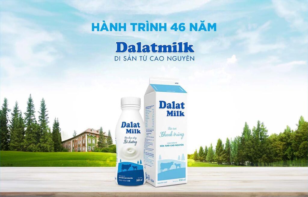 sản phẩm Dalat Milk trên bàn, phía sau là nhà máy dalat milk và rừng thông đẹp