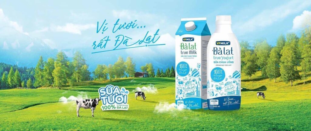 2 chai sữa Đà Lạt True Milk trên đồng cỏ, có mấy con bò đang đi lang thang