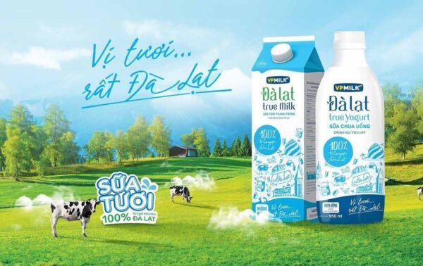 2 chai sữa Đà Lạt True Milk trên đồng cỏ, có mấy con bò đang đi lang thang